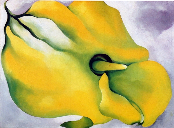 [크기변환]Georgia O'Keeffe, Yellow Calla, 1926.jpg