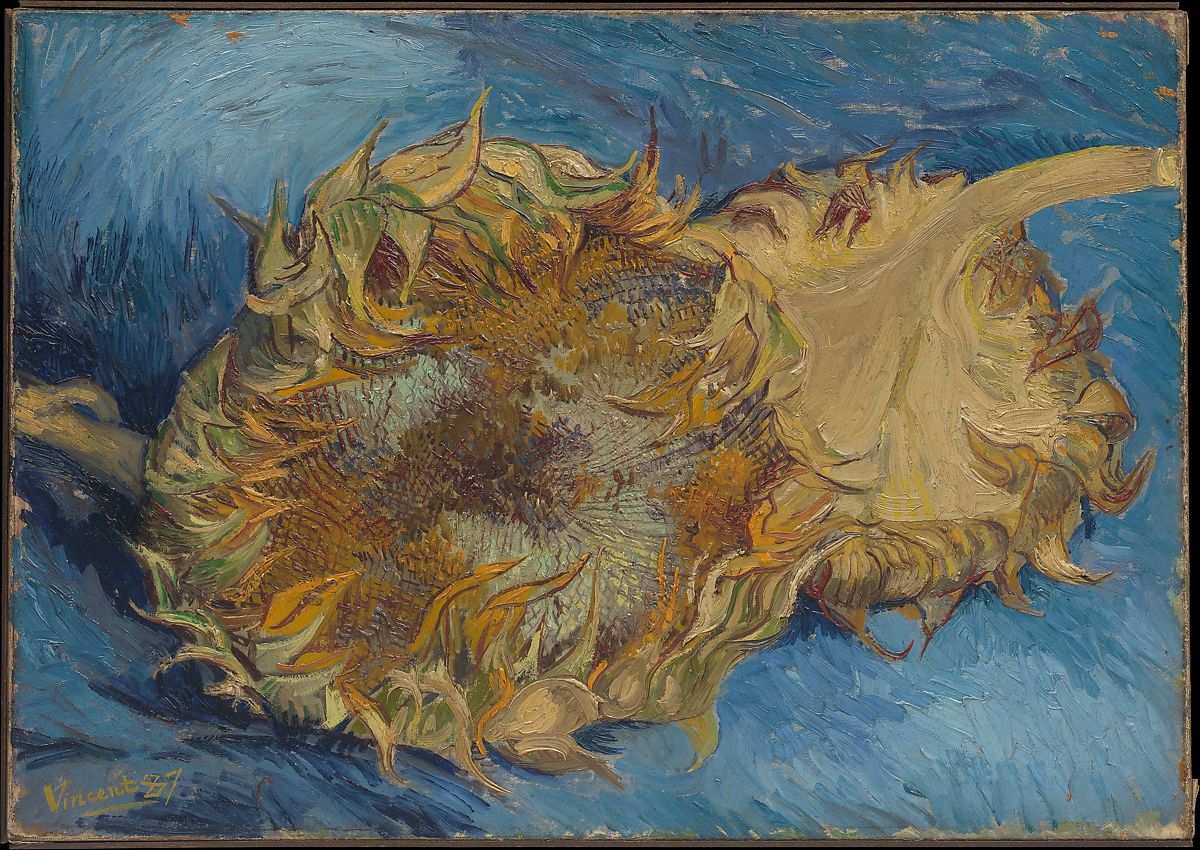 Vincent Willem van Gogh, Sunflower, 1887.jpg