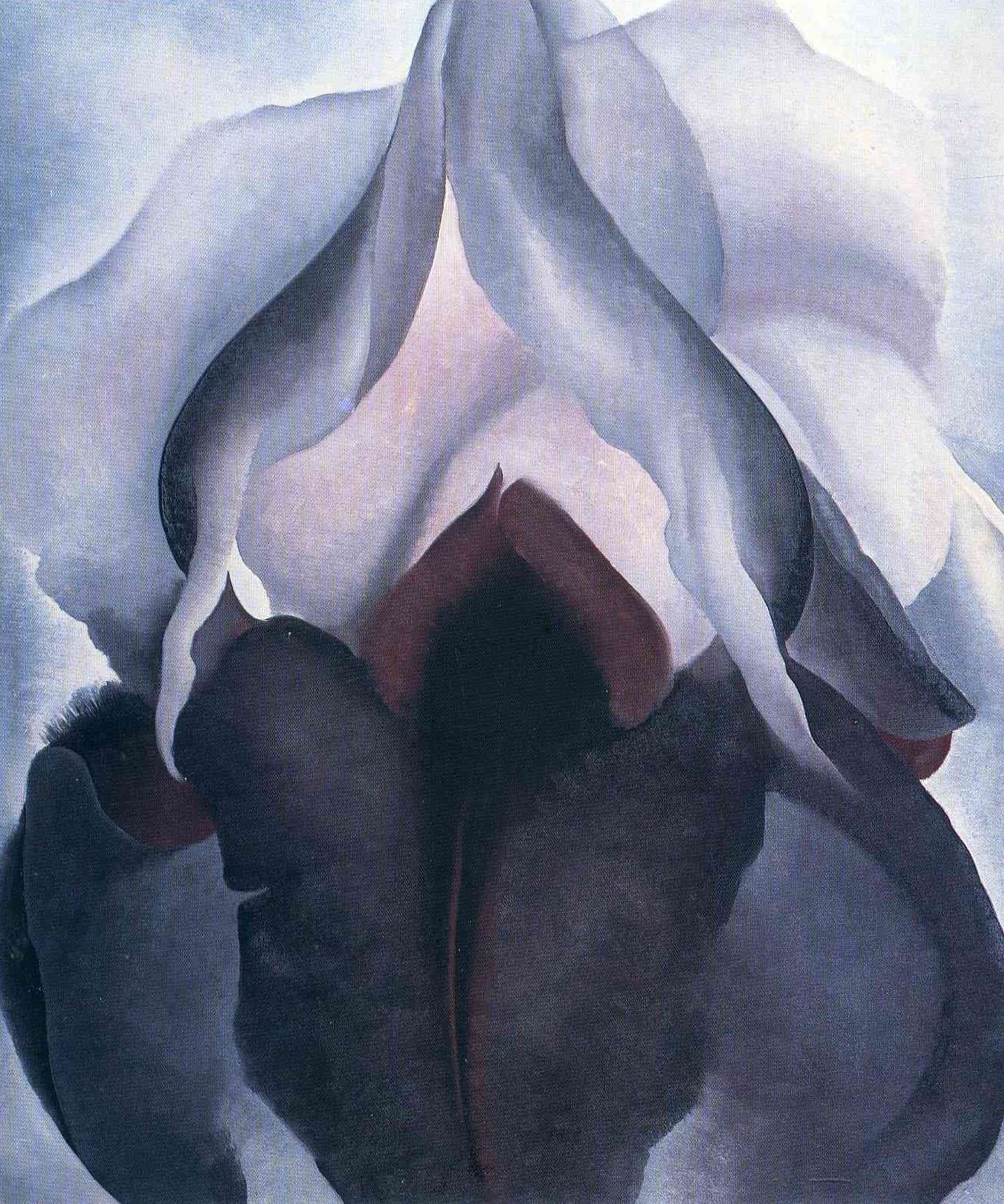 조지아 오키프, 검은 붓꽃, 1926.jpg