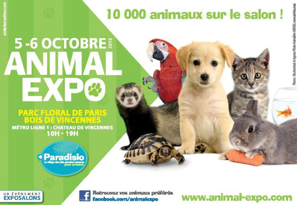 animal expo.jpg