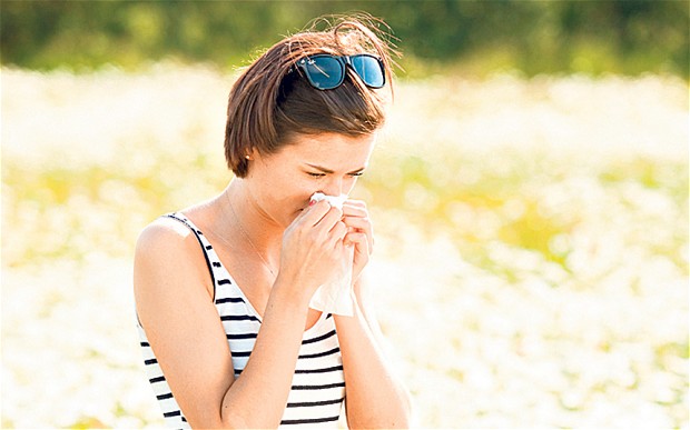 Hayfever_2213641b.jpg